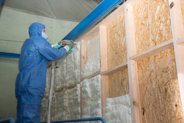 Best Affordable Insulation Services  in Whitmore Lake, MI